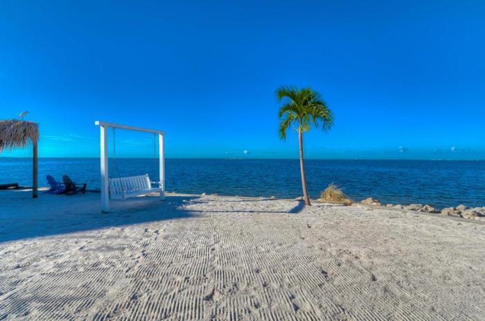 441-Waterfront, Amazing Views, Wifi, Pool And Close To Bucs Stadium Tampa Eksteriør billede