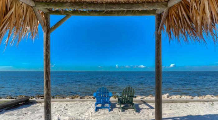 441-Waterfront, Amazing Views, Wifi, Pool And Close To Bucs Stadium Tampa Eksteriør billede
